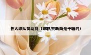 各大球队赞助商（球队赞助商是干嘛的）