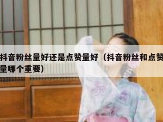 抖音粉丝量好还是点赞量好（抖音粉丝和点赞量哪个重要）