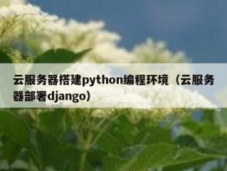 云服务器搭建python编程环境（云服务器部署django）