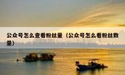公众号怎么查看粉丝量（公众号怎么看粉丝数量）