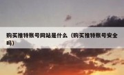 购买推特账号网站是什么（购买推特账号安全吗）