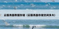 云服务器数据存储（云服务器存储空间多大）