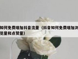 如何免费增加抖音流量（抖音如何免费增加浏览量和点赞量）