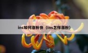 ins如何涨粉快（ins怎样涨粉）