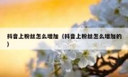 抖音上粉丝怎么增加（抖音上粉丝怎么增加的）