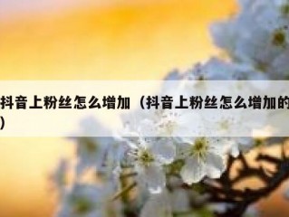 抖音上粉丝怎么增加（抖音上粉丝怎么增加的）