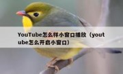 YouTube怎么样小窗口播放（youtube怎么开启小窗口）