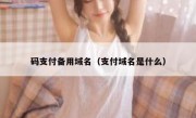 码支付备用域名（支付域名是什么）