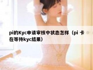 pi的Kyc申请审核中状态怎样（pi 卡在等待kyc结果）