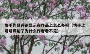 快手作品评论显示在作品上怎么办呀（快手上明明评论了为什么作者看不见）