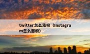 twitter怎么涨粉（Instagram怎么涨粉）