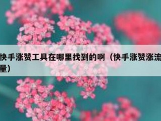 快手涨赞工具在哪里找到的啊（快手涨赞涨流量）
