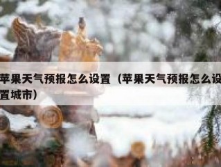 苹果天气预报怎么设置（苹果天气预报怎么设置城市）