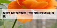 视频号如何快速吸粉（视频号如何快速吸粉赚钱）