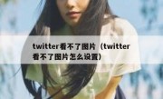twitter看不了图片（twitter看不了图片怎么设置）