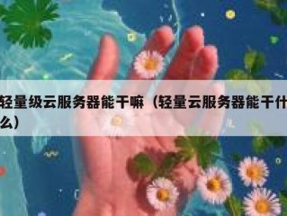 轻量级云服务器能干嘛（轻量云服务器能干什么）