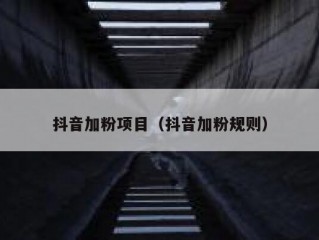 抖音加粉项目（抖音加粉规则）