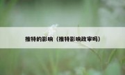 推特的影响（推特影响政审吗）