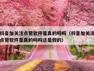 抖音加关注点赞软件是真的吗吗（抖音加关注点赞软件是真的吗吗还是假的）