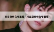抖音涨粉在哪里看（抖音涨粉榜在哪里看）