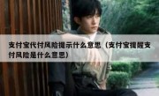 支付宝代付风险提示什么意思（支付宝提醒支付风险是什么意思）