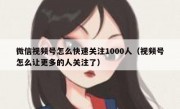 微信视频号怎么快速关注1000人（视频号怎么让更多的人关注了）