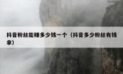 抖音粉丝能赚多少钱一个（抖音多少粉丝有钱拿）