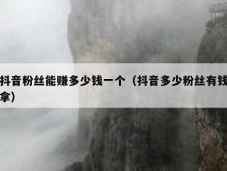 抖音粉丝能赚多少钱一个（抖音多少粉丝有钱拿）