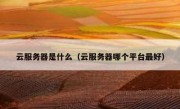 云服务器是什么（云服务器哪个平台最好）