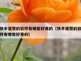 快手涨赞的软件有哪些好用的（快手涨赞的软件有哪些好用的）