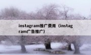 instagram推广费用（instagram广告推广）