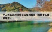 个人怎么开跨境电商店铺的费用（跨境个人卖家开店）