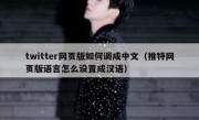 twitter网页版如何调成中文（推特网页版语言怎么设置成汉语）