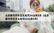 北京限号开车怎么处罚2022年8月（北京限号开车怎么处罚2022年8月）