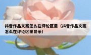 抖音作品文案怎么在评论区里（抖音作品文案怎么在评论区里显示）