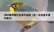 5和0哪天限行北京不拍照（五一北京是不是不限行）