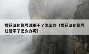 樱花汉化账号注册不了怎么办（樱花汉化账号注册不了怎么办呢）