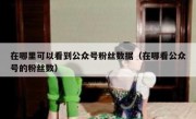 在哪里可以看到公众号粉丝数据（在哪看公众号的粉丝数）