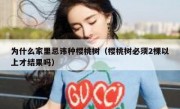 为什么家里忌讳种樱桃树（樱桃树必须2棵以上才结果吗）