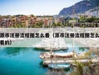 派币注册流程图怎么看（派币注册流程图怎么看的）