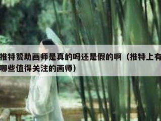 推特赞助画师是真的吗还是假的啊（推特上有哪些值得关注的画师）