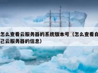 怎么查看云服务器的系统版本号（怎么查看自己云服务器的信息）