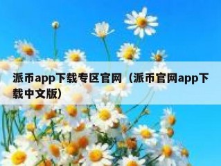 派币app下载专区官网（派币官网app下载中文版）