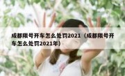 成都限号开车怎么处罚2021（成都限号开车怎么处罚2021年）