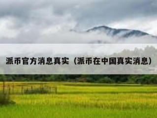 派币官方消息真实（派币在中国真实消息）