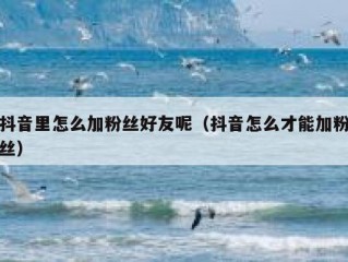 抖音里怎么加粉丝好友呢（抖音怎么才能加粉丝）