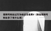 视频号粉丝过万为啥还没变黄V（微信视频号粉丝多了有什么用）