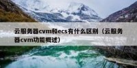 云服务器cvm和ecs有什么区别（云服务器cvm功能概述）