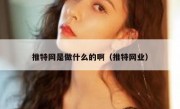 推特网是做什么的啊（推特网业）