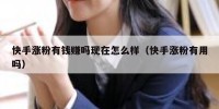快手涨粉有钱赚吗现在怎么样（快手涨粉有用吗）